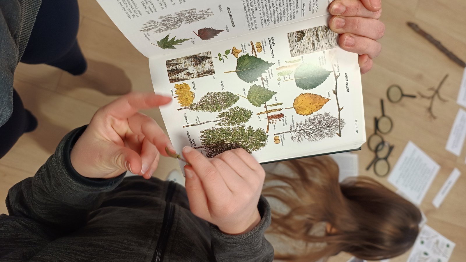 Dziecko ogląda atlas roślin